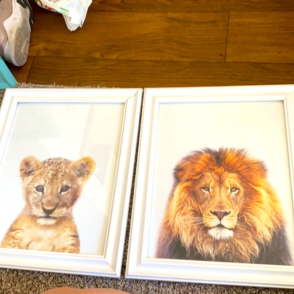 Lion & lioness frames